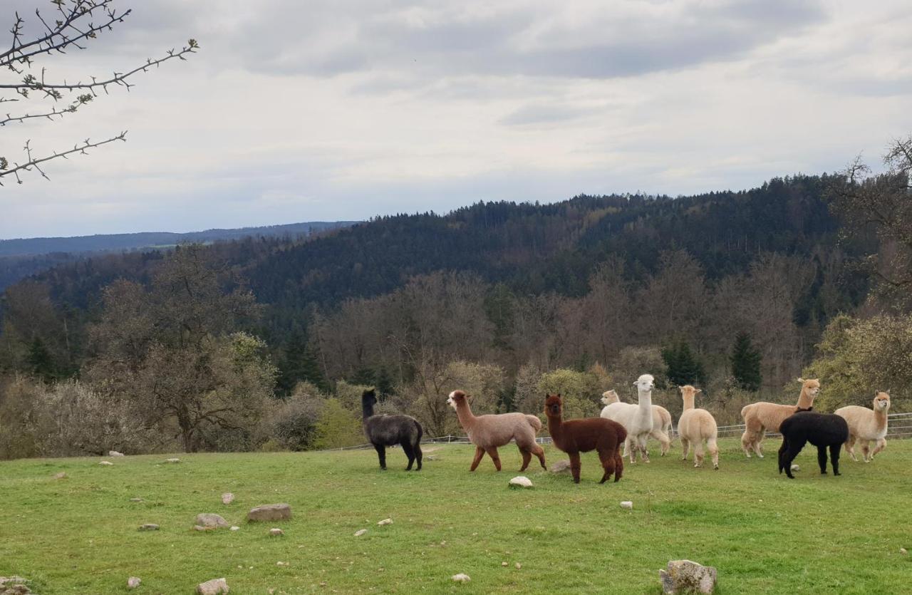 Lana Salta Alpakas - Gemuetliche Ferienwohnungen Auf Dem Bauernhof Murrhardt Экстерьер фото