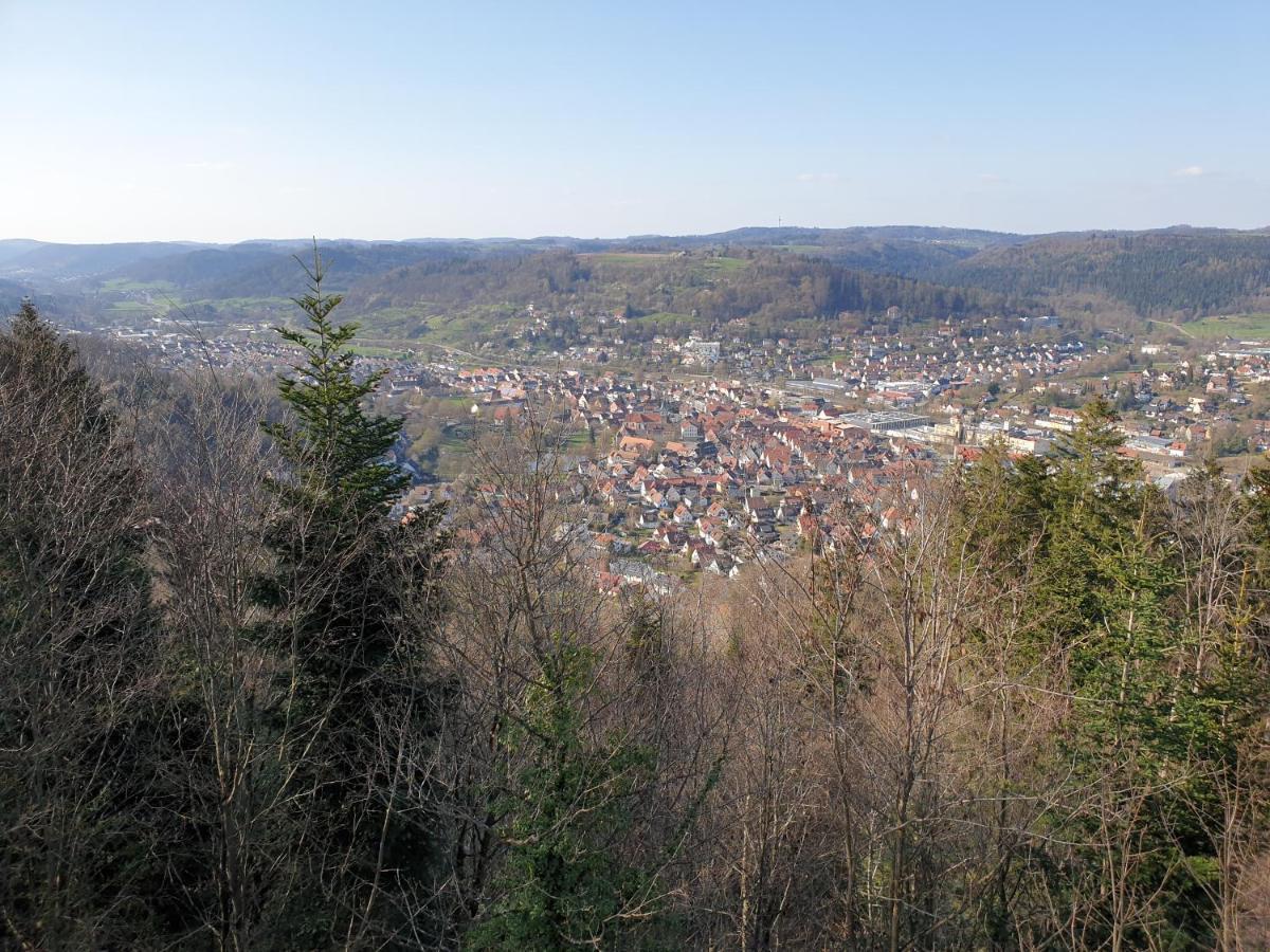 Lana Salta Alpakas - Gemuetliche Ferienwohnungen Auf Dem Bauernhof Murrhardt Экстерьер фото
