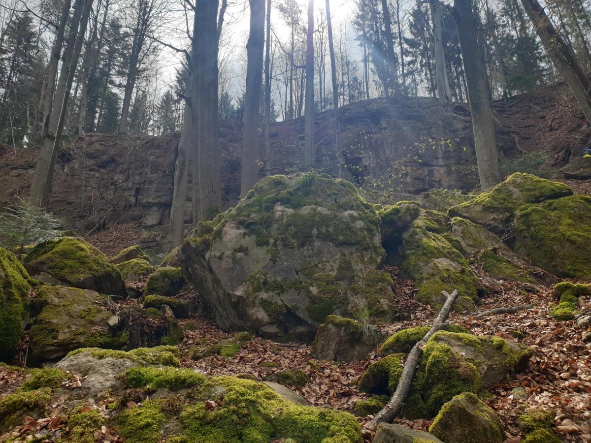 Lana Salta Alpakas - Gemuetliche Ferienwohnungen Auf Dem Bauernhof Murrhardt Экстерьер фото