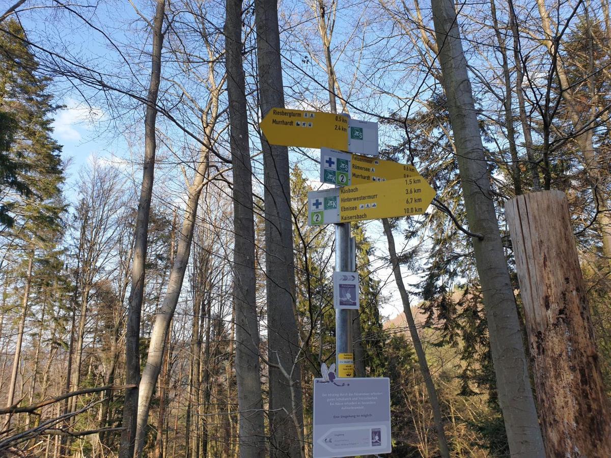Lana Salta Alpakas - Gemuetliche Ferienwohnungen Auf Dem Bauernhof Murrhardt Экстерьер фото